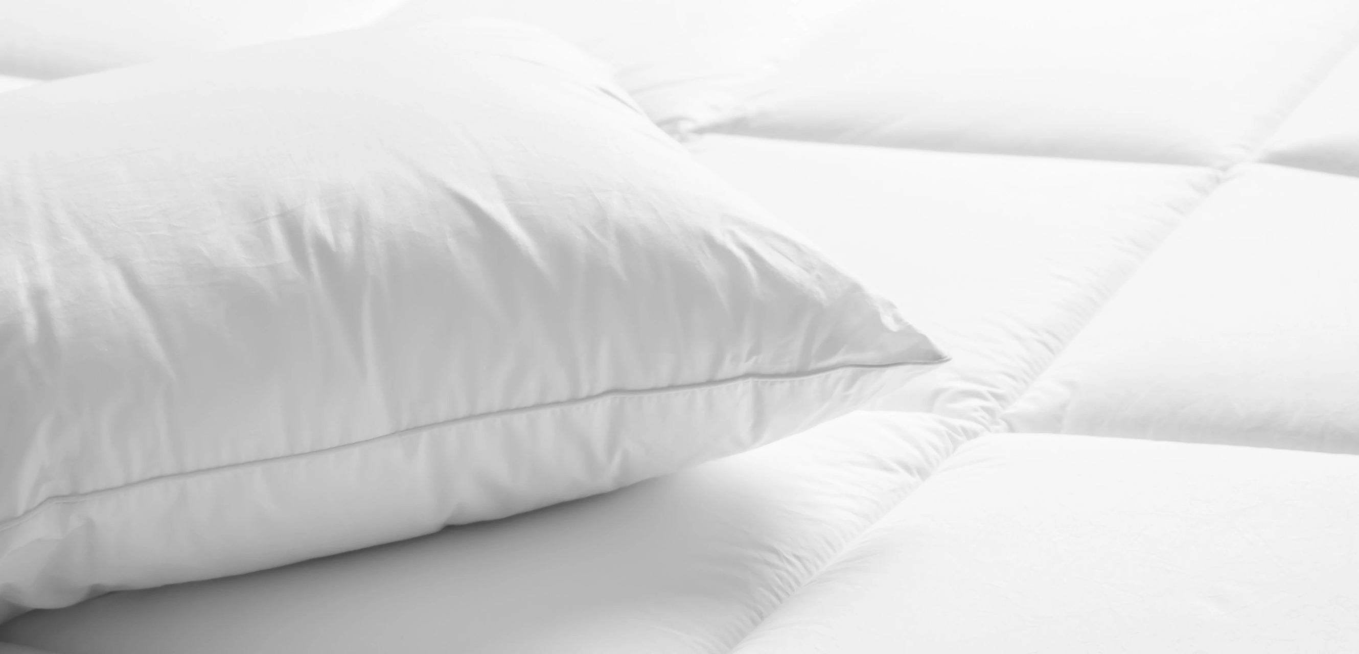 Bedding Basics